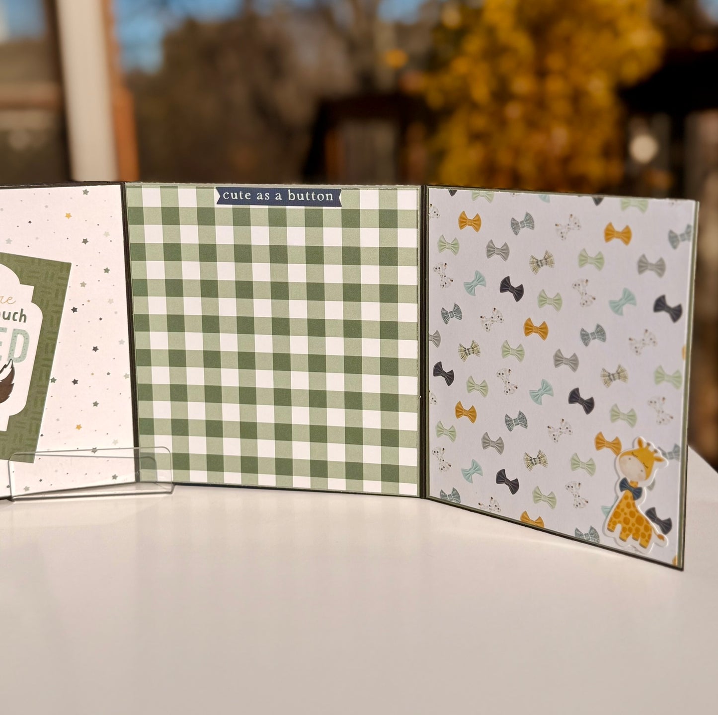 Baby Boy Mini Album