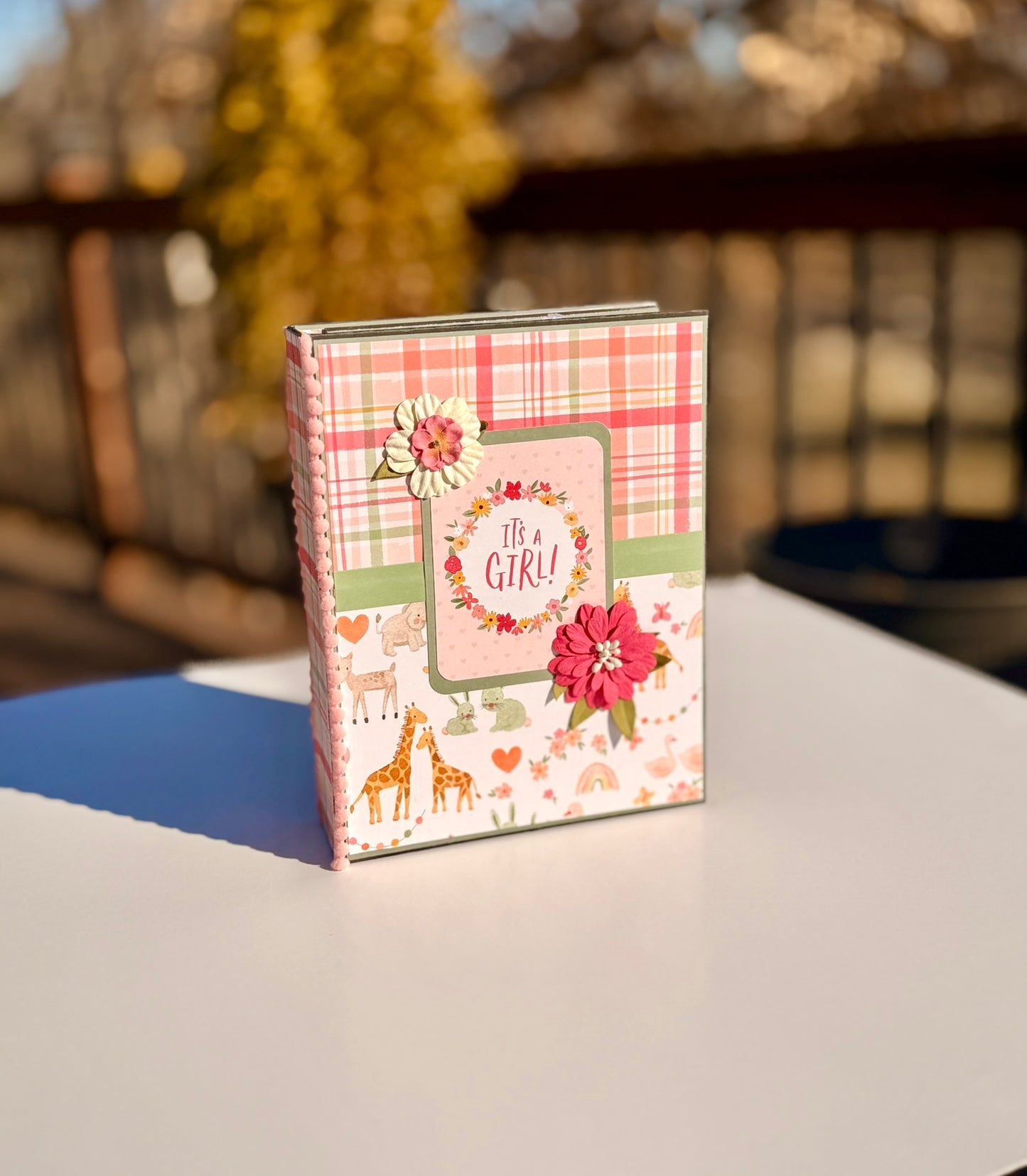 Baby Girl Keepsake Photo Album