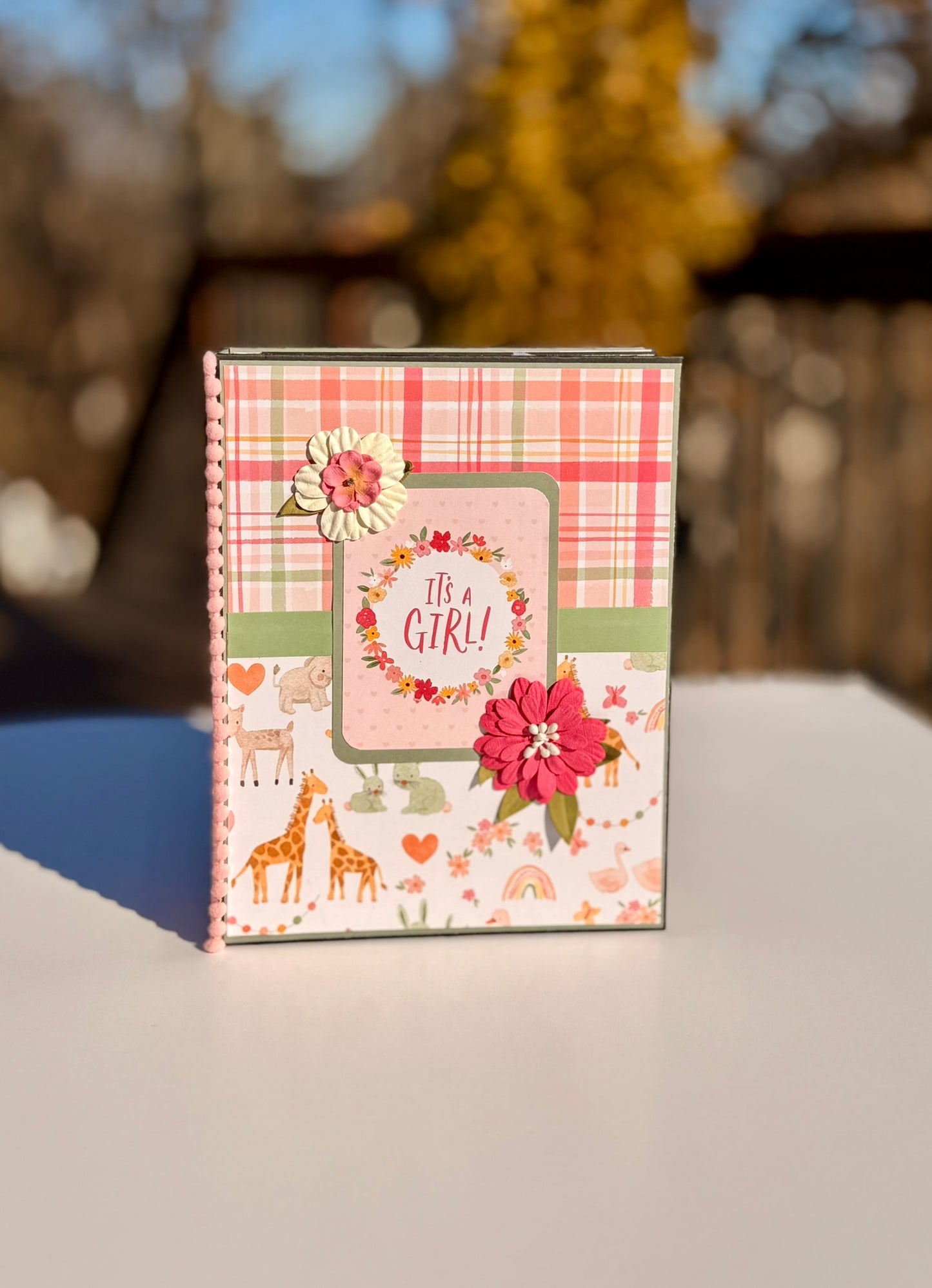 Baby Girl Keepsake Photo Album
