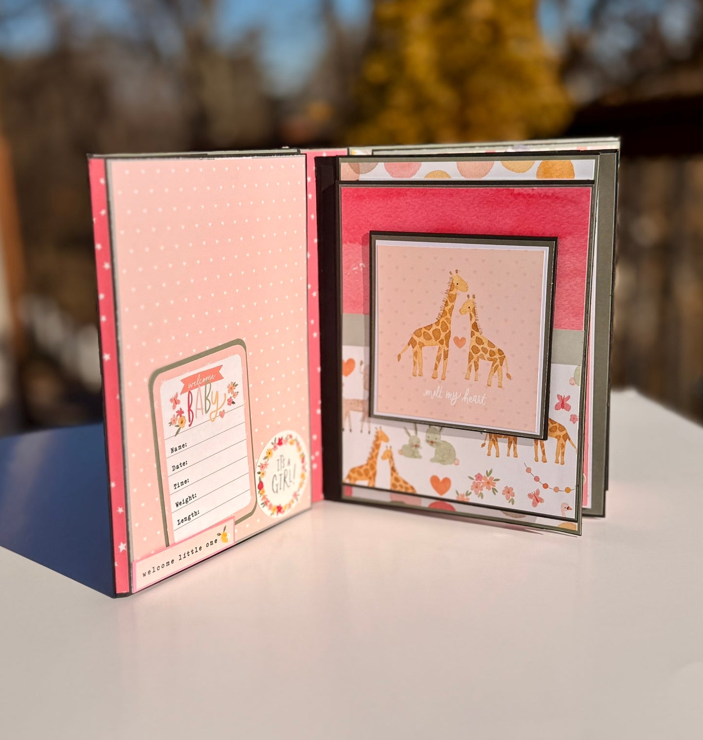 Baby Girl Keepsake Photo Album