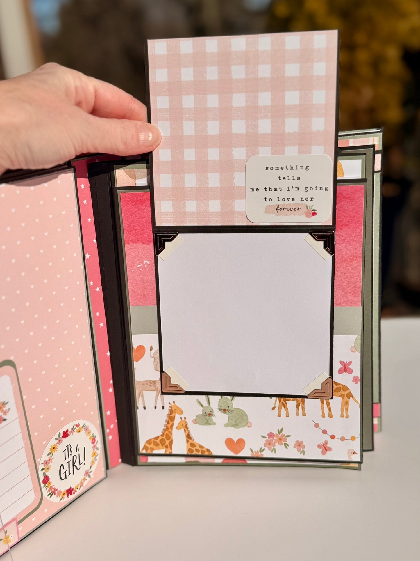 Baby Girl Keepsake Photo Album