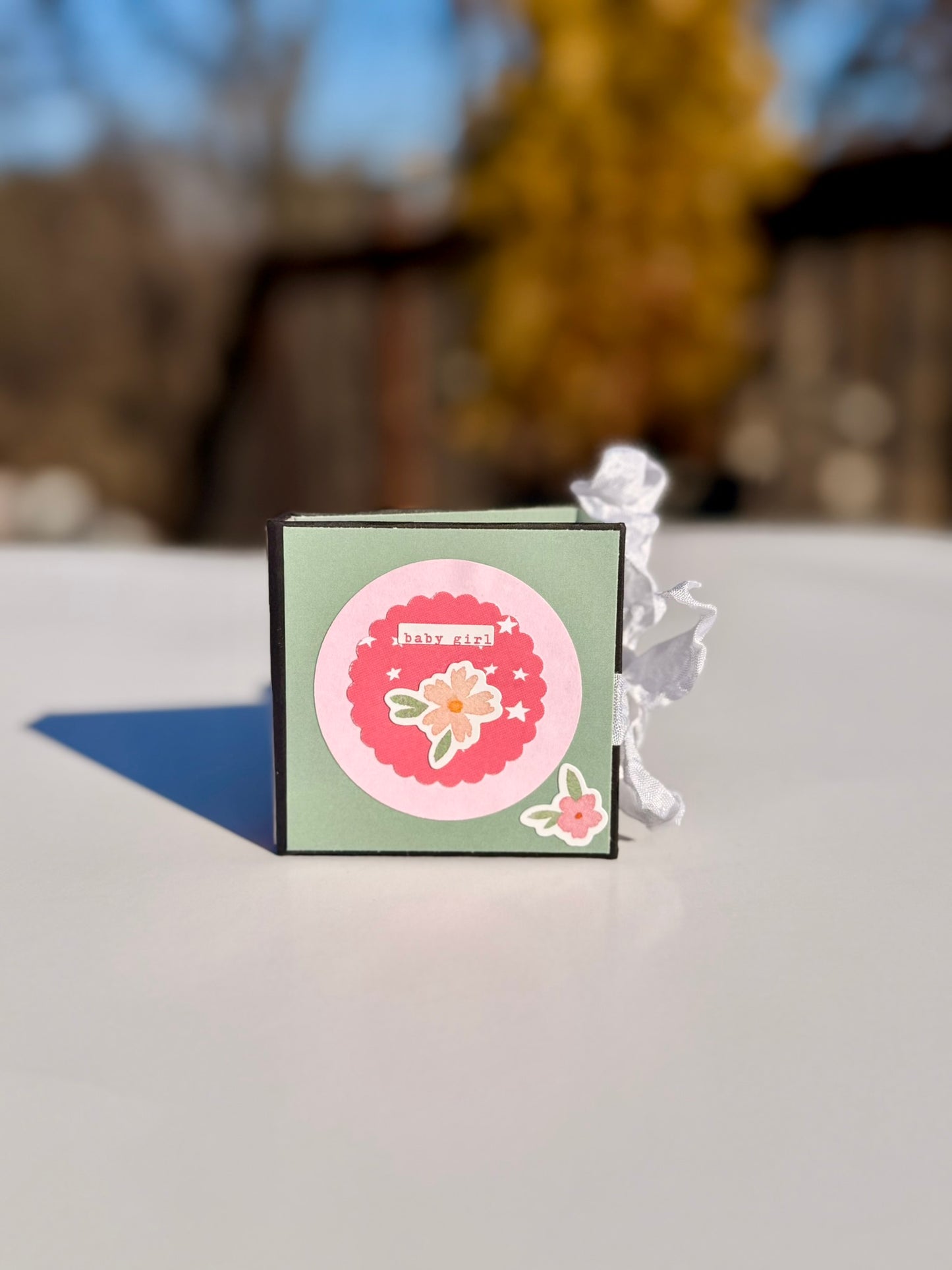 Micro Mini Photo Album